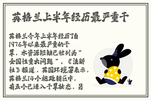8x8x海外华